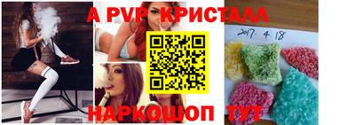 индика Будённовск