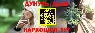 индика Будённовск