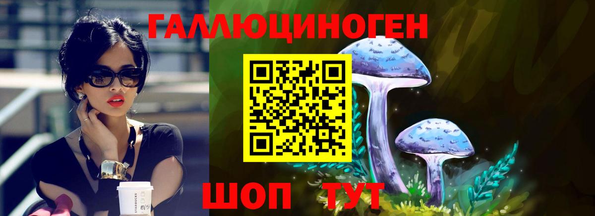 Галлюциногенные грибы GOLDEN TEACHER Сокол